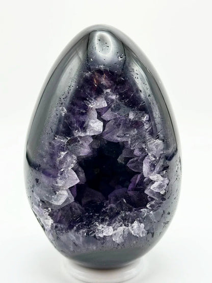 Dark Amethyst Egg